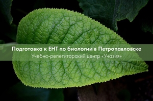 Подготовка к ЕНТ по биологии